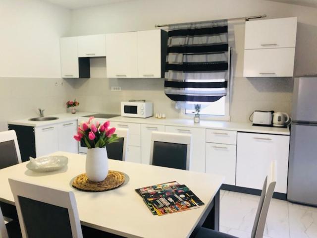 Apartman Mona 波德戈里察 外观 照片