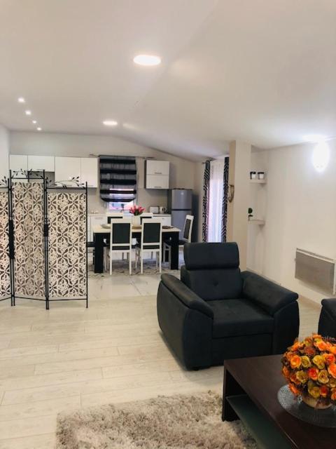 Apartman Mona 波德戈里察 外观 照片