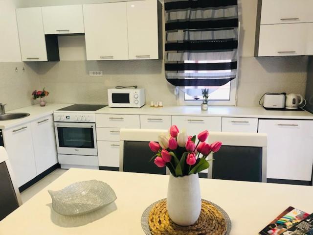 Apartman Mona 波德戈里察 外观 照片